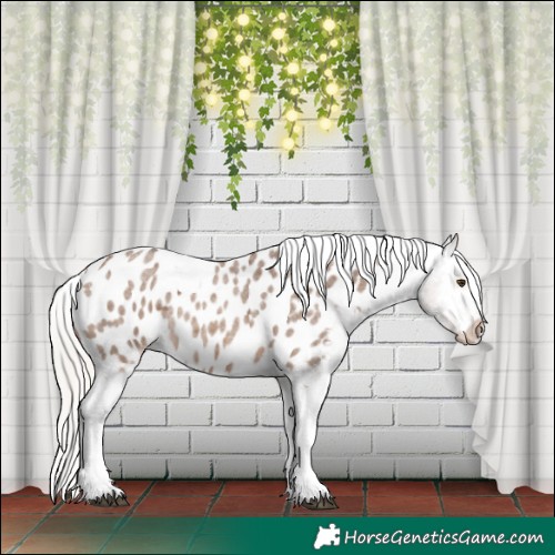 Horse Color:Silver Brown Roan Dun Tobiano Appaloosa Rabicano 