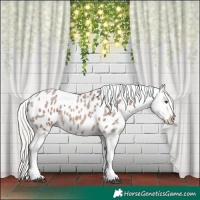 Horse Color:Silver Brown Roan Dun Tobiano Appaloosa Rabicano