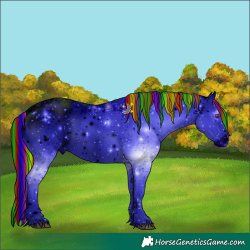 Horse Color:ERROR: UNKNOWN ANOMALY
