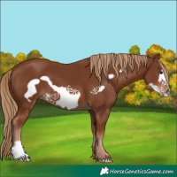 Horse Color:Chestnut Frame