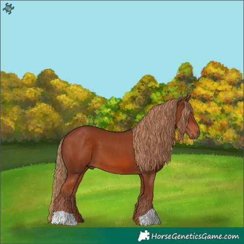 Horse Color:Chestnut 