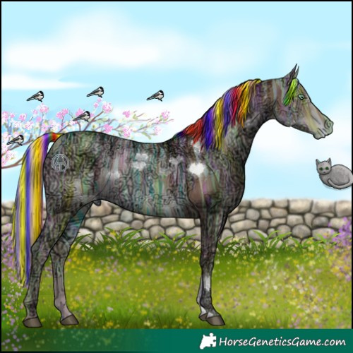 Horse Color:Painted Liver Chestnut Ice Pearl