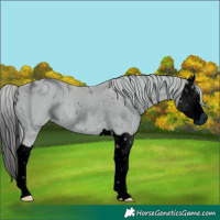 Horse Color:ERROR: UNKNOWN ANOMALY