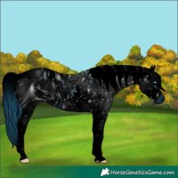 Horse Color:ERROR: UNKNOWN ANOMALY