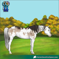 Horse Color:White Spotted Brown Dun Splash