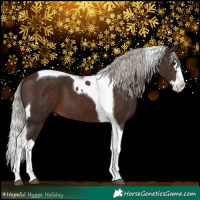 Horse Color:Silver Brown Splash Tobiano 
