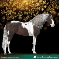 Horse Color:Silver Brown Splash Tobiano 