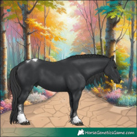 Horse Color:Black Tobiano 