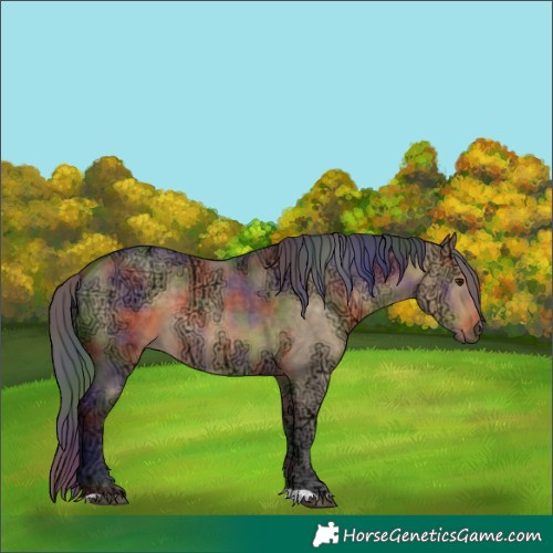 Horse Color:Nacre Buckskin Ice Dun 
