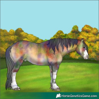 Horse Color:Nacre White Spotted Buckskin Onyx 