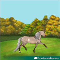 Horse Color:White Spotted Silver Brown Dun