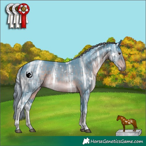 Horse Color:Watercolor White Spotted Liver Chestnut Ice Sabino Rabicano 