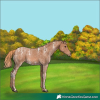 Horse Color:Chestnut Ice 