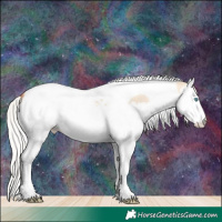 Horse Color:Silver Amber Champagne Dun Splash Tobiano 