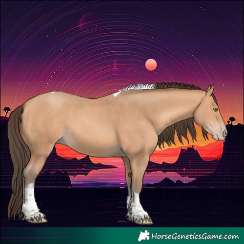 Horse Color:Amber Champagne Tobiano
