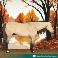 Horse Color:Buckskin Dun 