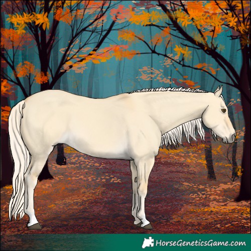 Horse Color:Palomino Dun 
