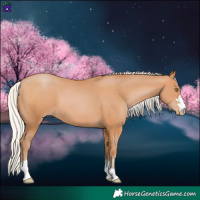 Horse Color:Silver Bay Pearl 