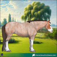 Horse Color:Bay Roan Splash 