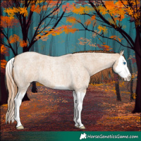 Horse Color:Red Dun Roan Splash 