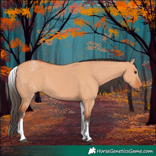Horse Color:White Spotted Bay Dun 