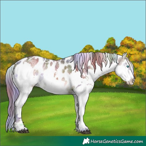 Horse Color:Nacre Liver Red Onyx Ice Splash Appaloosa 