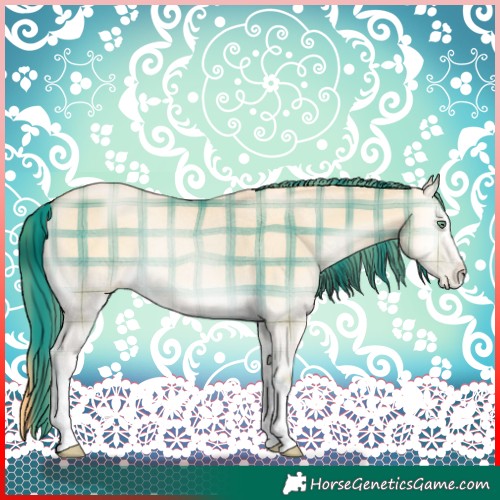 Horse Color:Plaid  Buckskin Pearl Onyx 