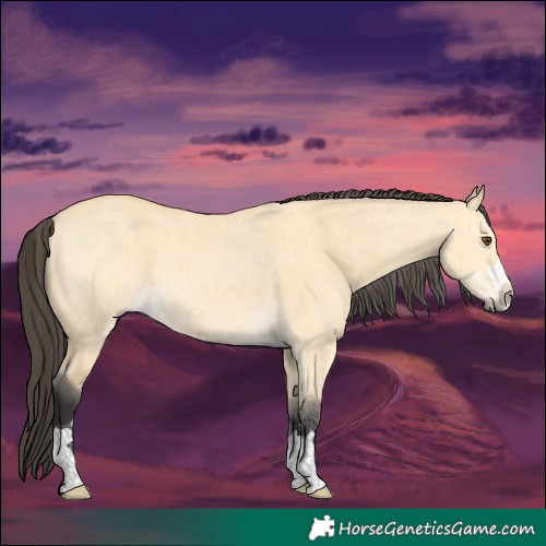 Horse Color:Buckskin Dun 