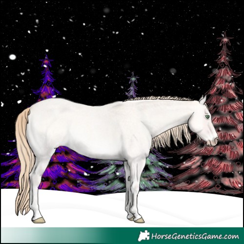 Horse Color:Perlino Roan Onyx 