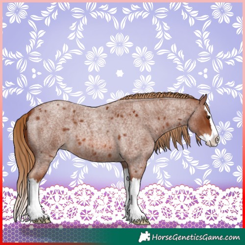 Horse Color:Red Roan Splash 