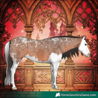 Horse Color:Bay Ice Splash
