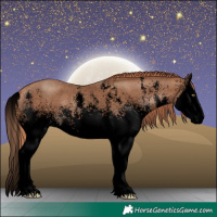 Horse Color:Void White Spotted Gold Champagne Sabino Splash