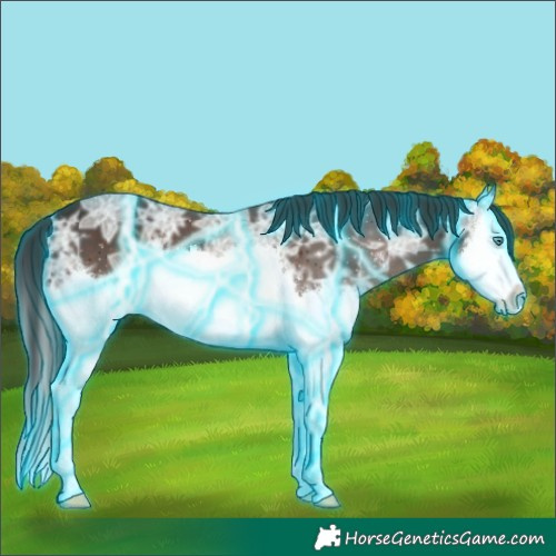 Horse Color:Thunderstruck Liver Chestnut Ice Sabino Splash 