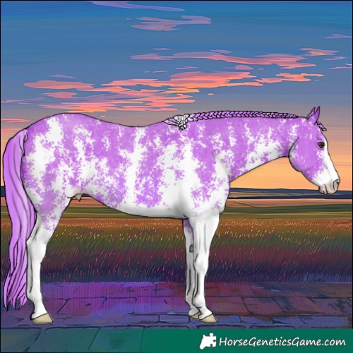 Horse Color:Watercolor Chestnut Sabino 