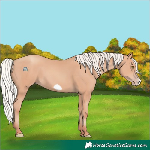 Horse Color:Silver Amber Champagne Frame