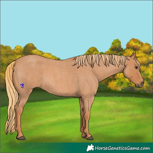 Horse Color:Red Roan