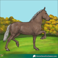 Horse Color:Silver Black
