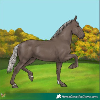 Horse Color:Silver Black 