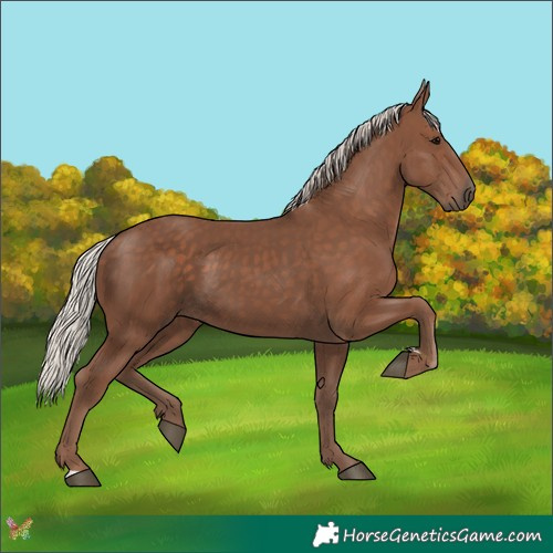 Horse Color:Silver Black 