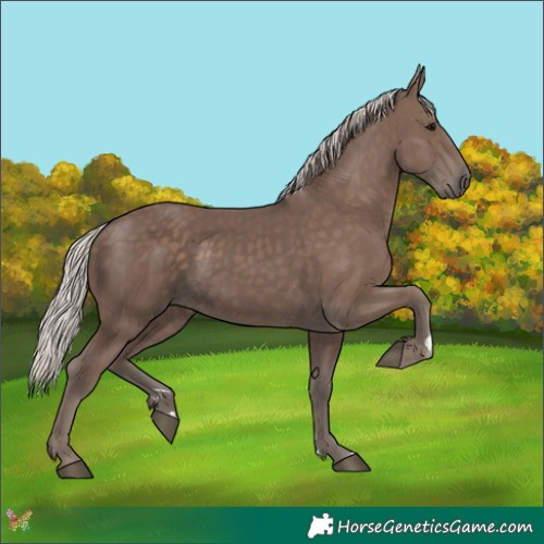 Horse Color:Silver Black 