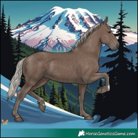 Horse Color:Silver Black 