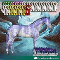 Horse Color:Watercolor Liver Chestnut Ice Sabino Tobiano Rabicano 