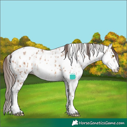 Horse Color:Amber Champagne Sabino Tobiano Leopard  and Amber Champagne Sabino Tobiano Fewspot 