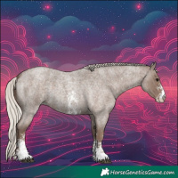 Horse Color:Silver Blue Roan Sabino