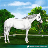Horse Color:Silver Smoky Creme Dun 