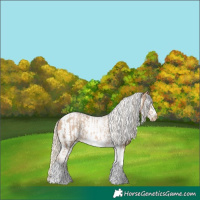 Horse Color:Chocolate Palomino Pearl Tobiano Frame and Chocolate Palomino Pearl Tobiano Frame