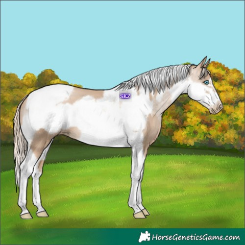Horse Color:Chocolate Palomino Pearl Tobiano Frame  and Chocolate Palomino Roan Pearl Tobiano Frame 