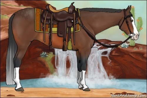 Horse Color:Bay Splash
