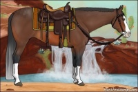 Horse Color:Bay Splash 