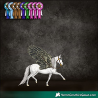 Horse Color:Smoky Creme Sabino 